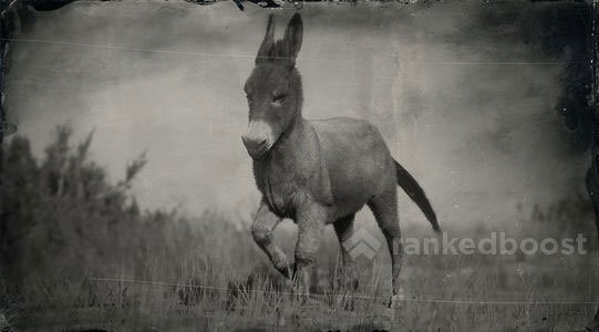 Red Dead Redemption 2 Donkey